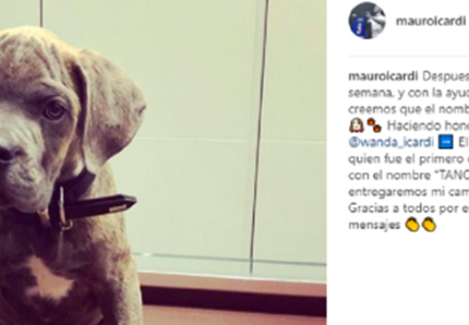 Un cucciolo di cane a Icardi per il 26esimo compleanno